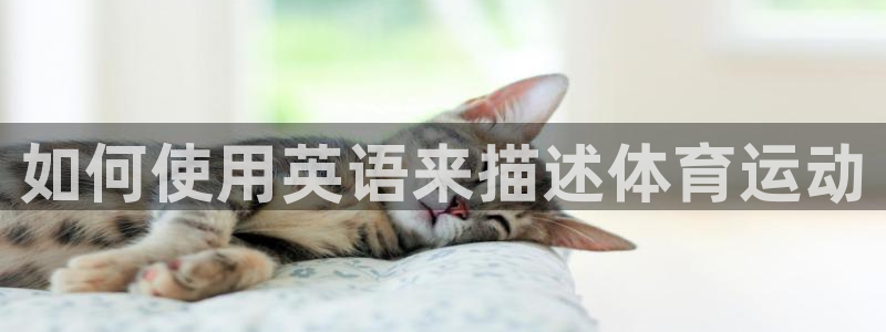 劲球体育app官网入口下载安装：如何使用英语来描述体育运动