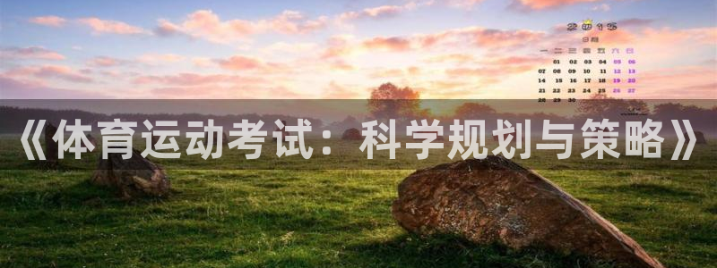 劲球体育免费观看高清中超：《体育运动考试：科学规划与策略》