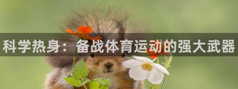 劲球体育免费观看高清中超：科学热身：备战体育运动的强大武器