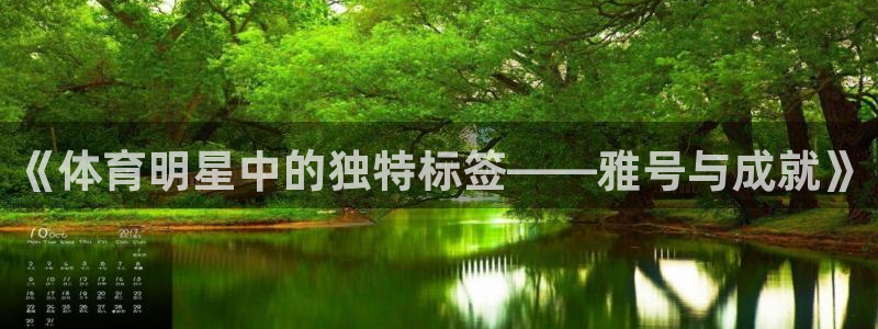 劲球体育视频：《体育明星中的独特标签——雅号与成就》
