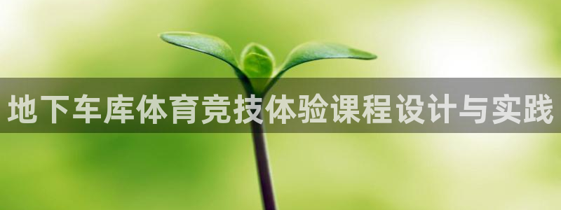 劲球体育直播在线观看高清：地下车库体育竞技体验课程设计与实践
