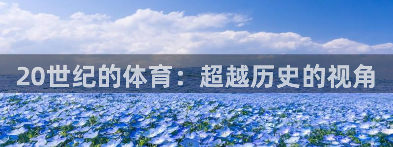 劲球体育直播在线观看高清：20世纪的体育：超越历史的视角